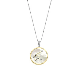 Ti Sento 14K Gold Plated Silver Necklace/ 6826AQ