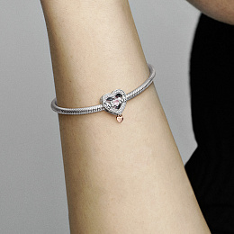 Charm/782653C01