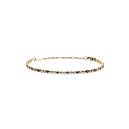 Daniel Wellington Gold PVD Bracelet/DW00401113