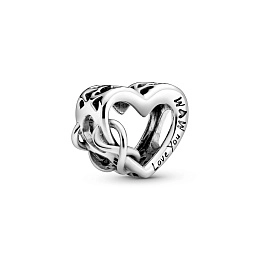 PANDORA Moments Silver Charm/ 798825C00