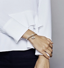 PANDORA Moments Արծաթյա Չարմ/ 798106CZ