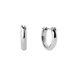 Daniel Wellington Ականջօղ/ DW00401948