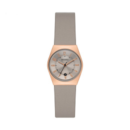 Skagen  Женские  Наручные часы/ SKW3052