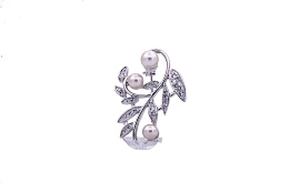 Brosch/58013