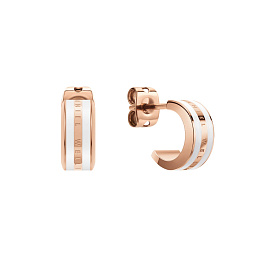 Daniel Wellington Ականջօղ/ DW00400148