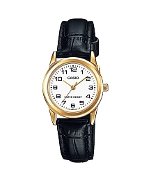 Casio General Ladies Wristwatch/ LTP-V001GL-7BUDF