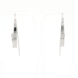 Skagen Ականջօղ/ SKJ1077040