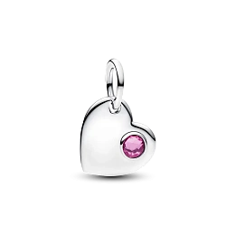 Pandora Timeless Արծաթյա Չարմ/794295C10