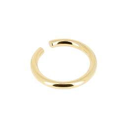 Zag Bijoux 24K Gold Plated Stainless Steel Surgical Earring/ SLK24808-01UNI5X40