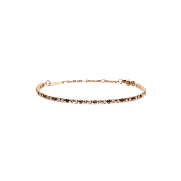 Daniel Wellington Gold PVD Bracelet/DW00401115