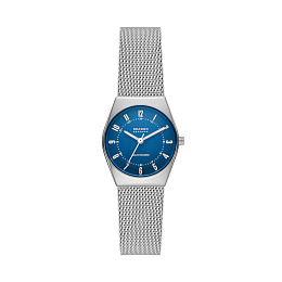 Skagen  Ladies  Wristwatch/ SKW3080