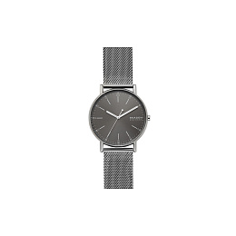 Skagen skw6398 online