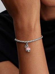 Pandora Moments Արծաթյա Չարմ/ 764453C01