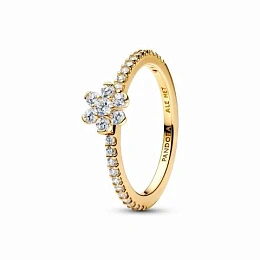 Pandora Timeless 14K Ոսկեպատ Մատանի/ 164499C01-58