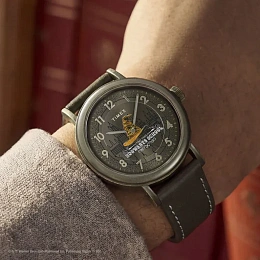 Timex Unisex Кварцевый Часы/ TW2Y77000