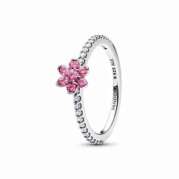 Pandora Timeless Արծաթյա Մատանի/ 194499C02-56