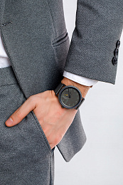 Skagen  Мужские  Наручные часы/ SKW6891