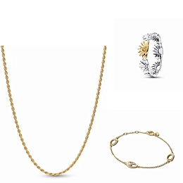 Pandora Moments 14K Gold Plated Silver Set