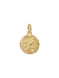 Pandora Talisman 14K Gold Plated Charm/ 764082C01