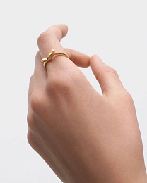 PDPAOLA 18K Gold Plated Silver Ring/ AN01-D23-14