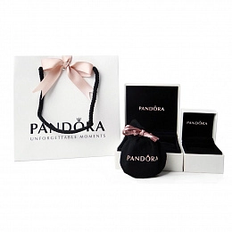 PANDORA Moments Արծաթյա Չարմ/ 791242CZ
