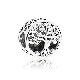 PANDORA Moments Silver Charm/ 797590