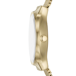 Skagen  Կանացի  Ժամացույց/ SKW3084