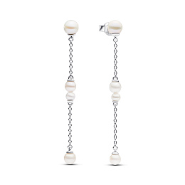 PANDORA Sterling Silver Earring/293152C01