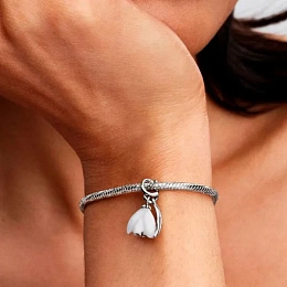 Pandora Timeless Silver Charm/794239C01