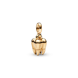 Charm / 762300C01