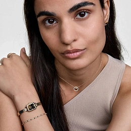 Daniel Wellington  Կանացի  Ժամացույց/ DW00100801