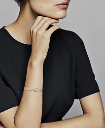 PANDORA Reflexions Արծաթյա Չարմ/ 798199