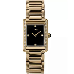 Hailey Gold-tone Case and Bracelet with