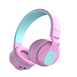 Earphone